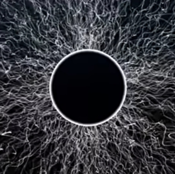 Meet your Posher, Andrew - Picture 1 of 1